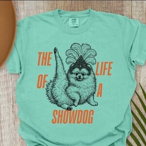 Bella Canvas Showdog Tee in Teal and Orange